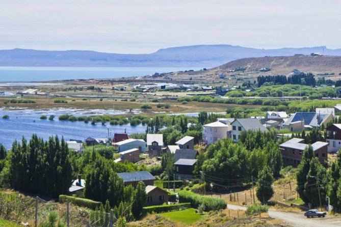 El Calafate: Day Trip to the Spectacular Petrified Forest La Leona - Exploring the Petrified Forest