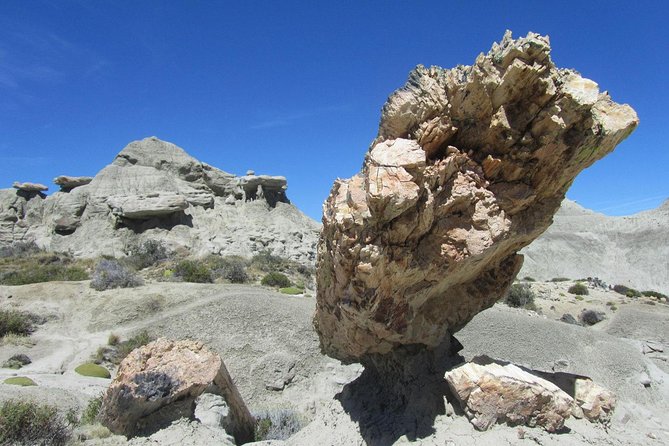 El Calafate: Day Trip to the Spectacular Petrified Forest La Leona - Getting to La Leona