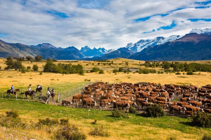 El Calafate: Nibepo Aike Ranch With Horseback Riding - Customer Feedback