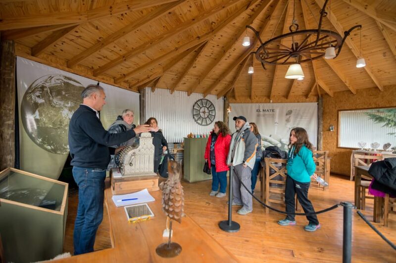 El Calafate: Panoramic Tour With Punta Walichu - Customer Ratings