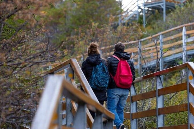 El Calafate Private Day Trip From Buenos Aires With Optional Airfare - Key Points