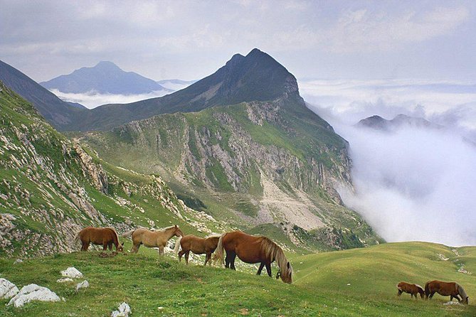 El Camino and the Pyrenees Private Day Tour From St-Jean-Pied-De-Port to Roncesvalles - Cancellation Policy Details
