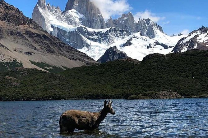 El Chaltén Full Day & Free Trek From El Calafate - Highlights and Key Features