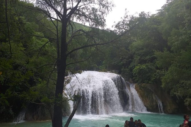 El Chiflón Lakes and Waterfalls Tour From Tuxtla Gutiérrez - Participant Guidelines