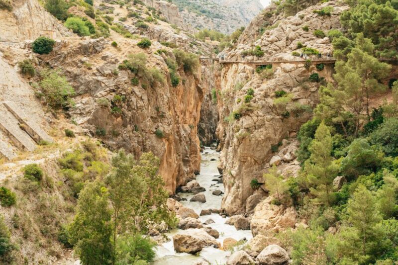 El Chorro: Caminito Del Rey Guided Tour With Shuttle Bus - Customer Testimonials