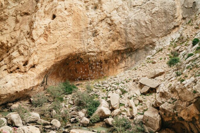 El Chorro: Caminito Del Rey Guided Tour With Shuttle Bus - Pricing and Availability