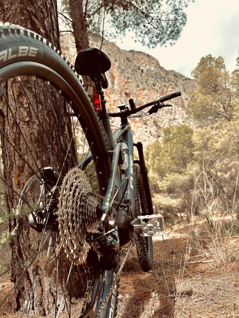 El Chorro: Caminito + Guided Tour With Electric Bike 2h - Electric Bike Tour