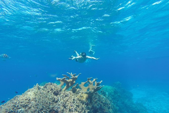 El Cielo and Snorkel Private Excursion - Pricing and Booking