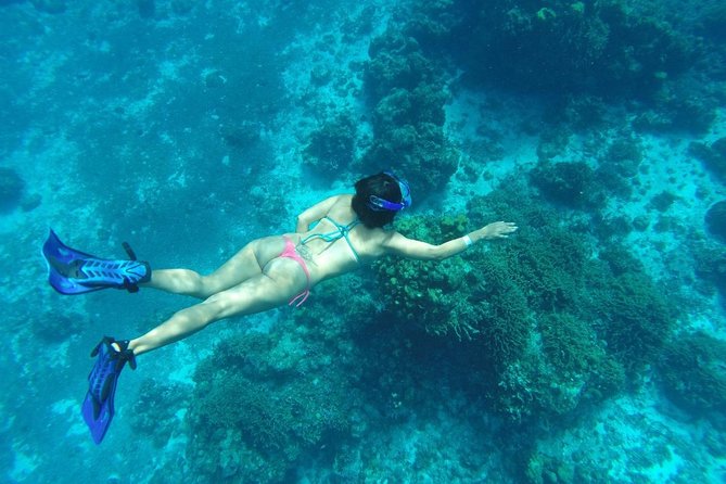 El Cielo and Snorkel Private Excursion - Customer Reviews and Recommendations