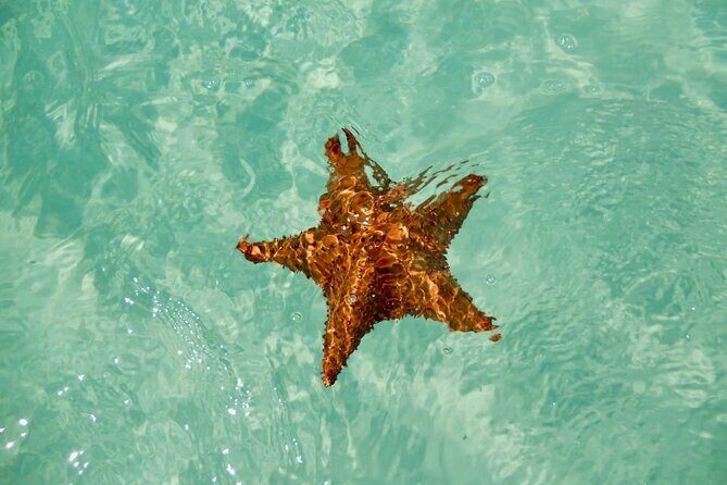 El cielo Cozumel From Cancún and round Transfer with Lunch - The Itinerary in Detail