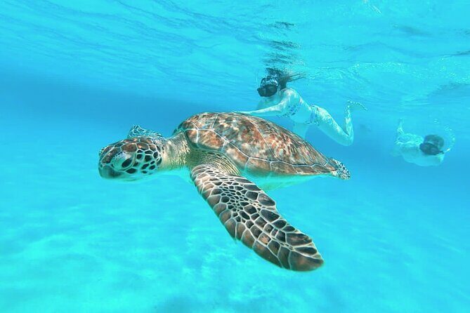 El Cielo Cozumel Snorkel Private Boat + Food + Drinks + Beach - Starting Point and Ease of Access