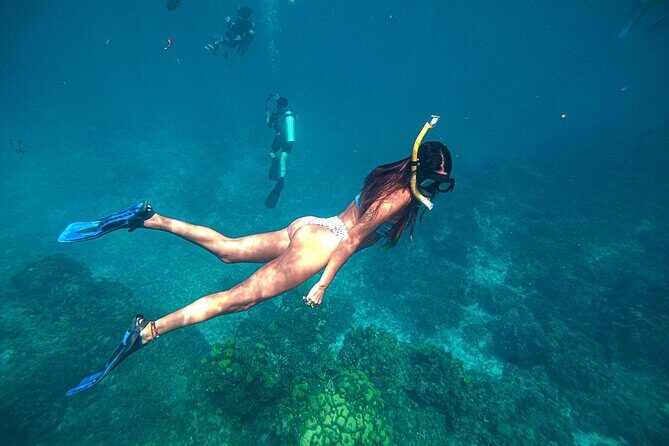 El Cielo Cozumel Snorkel Private Boat + Food + Drinks + Beach - Who Will Love This Tour?
