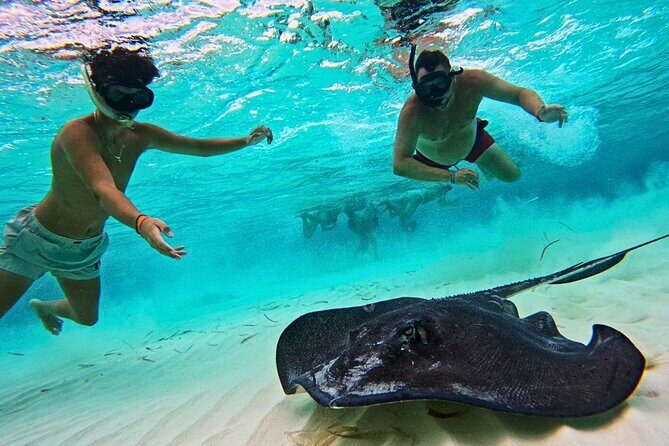 El Cielo Cozumel Snorkel Private Tour Big Group + Food Drinks - Why Consider this Tour?