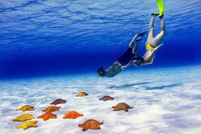 El Cielo Cozumel Snorkel Private Tour Big Group + Food Drinks - What’s Included and What’s Not