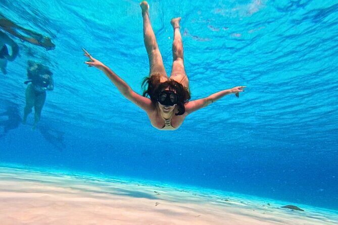 El Cielo Cozumel Snorkel Private Tour Big Group + Food Drinks - Practical Tips for Your Trip