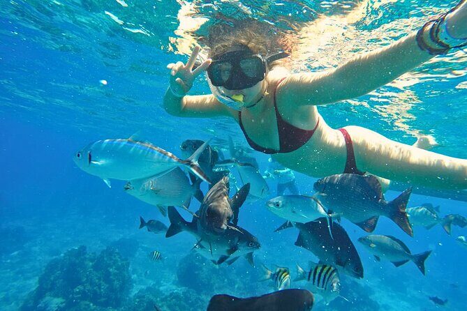 El Cielo Cozumel Snorkel Share Boat + Reefs + Food Drinks + Beach - Who Is This Tour Best For?