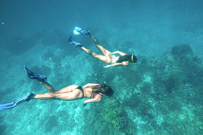 El Cielo Cozumel Snorkel Share Boat + Reefs + Food Drinks + Beach - The Sum Up