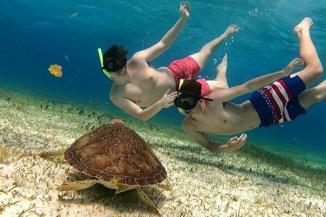 El Cielo Cozumel Snorkel tour by Catamaran - Key Points