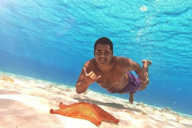 El Cielo Cozumel Snorkel tour by Catamaran - An In-Depth Look at the Tour