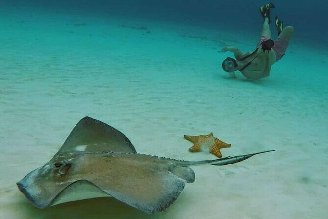 El Cielo Cozumel Snorkel tour by Catamaran - Final Thoughts