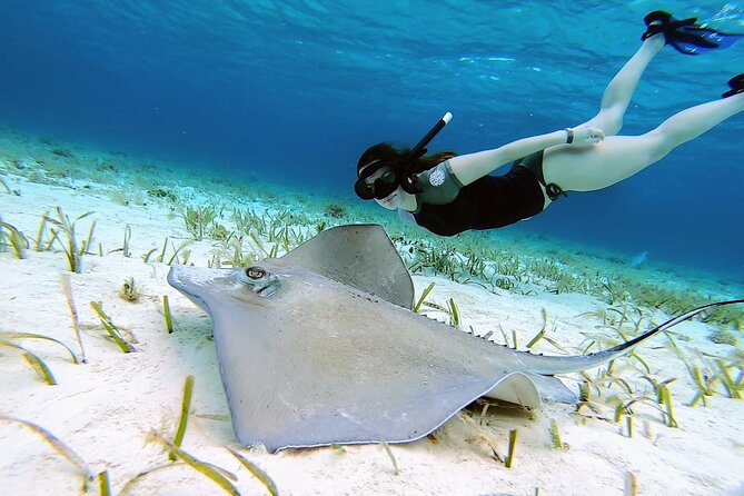 El Cielo Cozumel Snorkeling by Private Boat - Meeting Point and Pickup