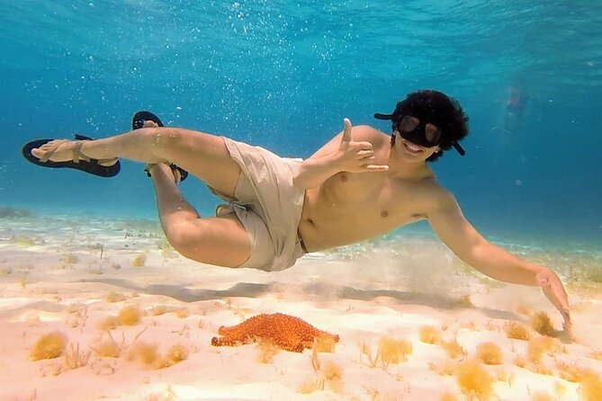 El Cielo Cozumel Snorkeling by Private Boat - Pricing and Cancellation Policy
