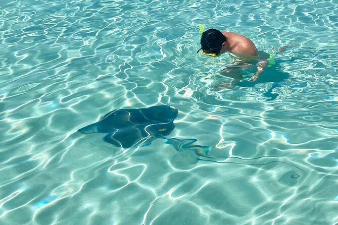 El Cielo Cozumel Snorkeling by Private Boat - Additional Information