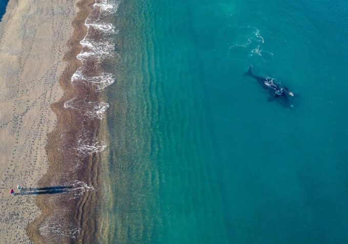 El Doradillo Beach - Taking in Natures Splendor