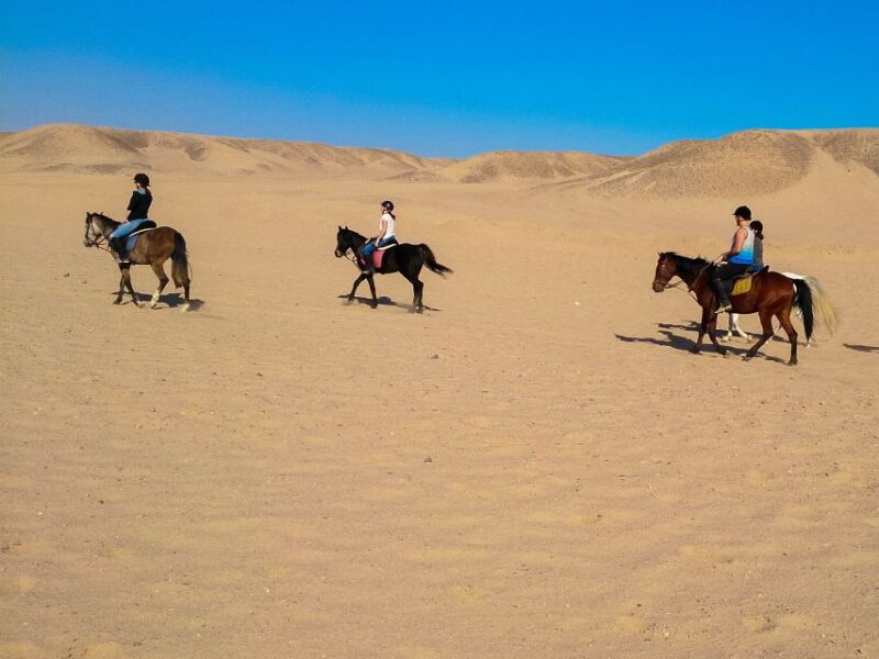 El Gouna: Desert & Sea Horse Riding With Swimming Optional - Key Points