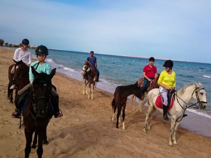 El Gouna: Desert & Sea Horse Riding With Swimming Optional - Desert Horse Riding