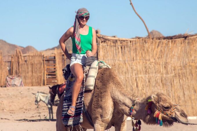 El Gouna: Desert Star-Watching Adventure by Jeep With Dinner - Customer Ratings and Reviews