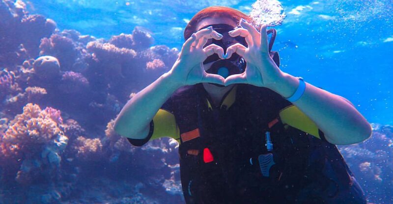 El Gouna: Diving or Snorkeling 2 Spots Boat Trip With Lunch - Diving and Snorkeling Highlights