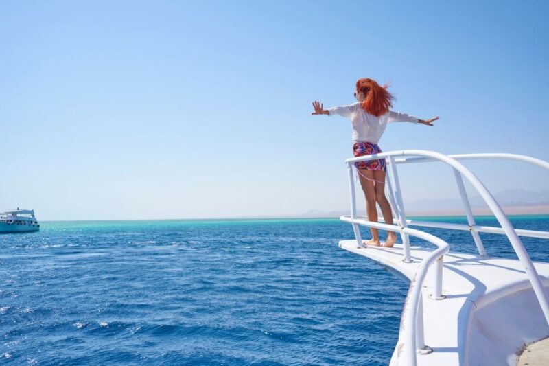 El Gouna: Dolphin Watching Boat Tour With Snorkeling & Lunch - Inclusions