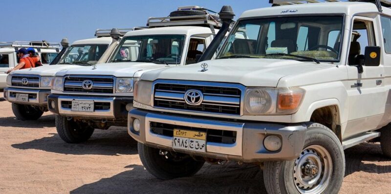 El Gouna: Jeep, Camel, Buggy, Safari to Sahara Park Hurghada - Booking and Cancellation
