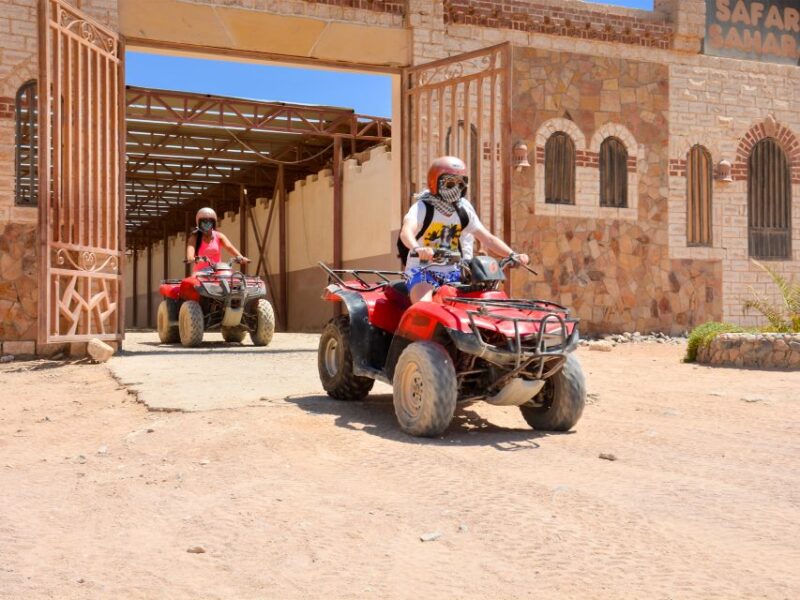 El Gouna: Morning Quad Bike & Camel Safari - Itinerary Details