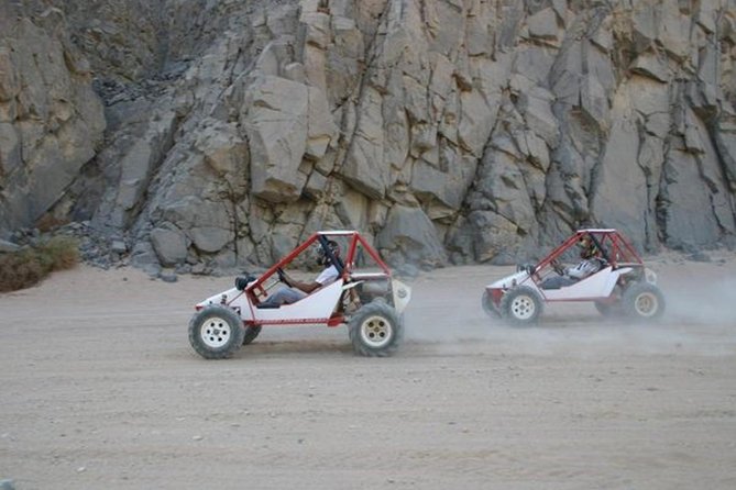 El Gouna Sahara Dune Buggy Morning Adventure - Bedouin Village Experience