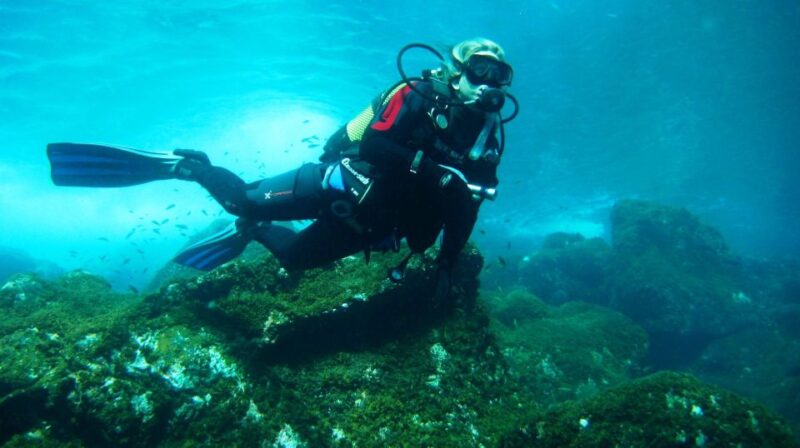 El Hierro: Skin Diving PADI Experience - Exclusions