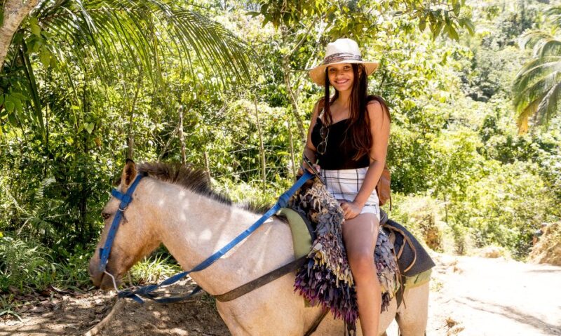 El Limon Waterfall & Bacardi Island Full-Day Adventure - Transportation and Pickup
