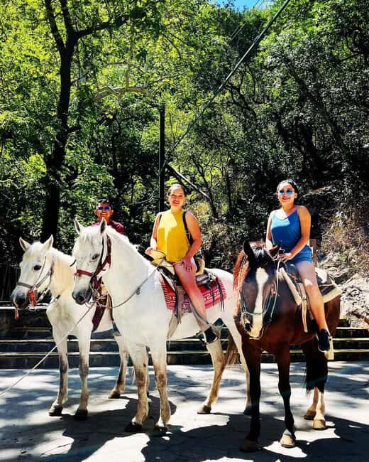 El mejor Tour a Cola de Caballo + Guía + Traslado + Tickets - Final Thoughts: Who Will Love This Tour?