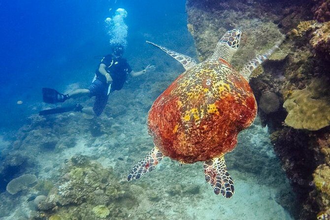 El Nido: 3 Days and 2 Nights - FAQs