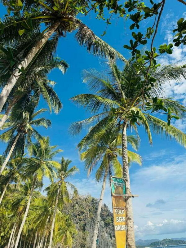 El Nido: Island Hopping TOUR A with Lunch, Transfer & EDTF - The Sum Up