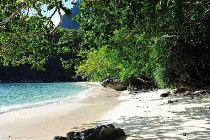 El Nido Tour D Island Hopping - Accessibility and Participation