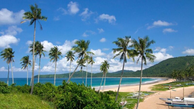 El Nido Town: Transfers To/From Nacpan Beach - Customer Feedback