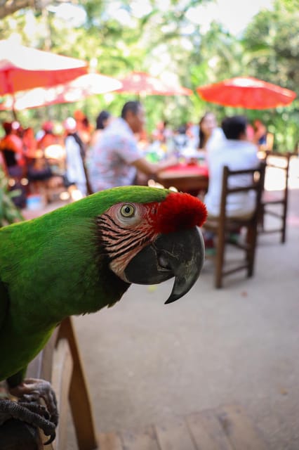 El Nogalito, Puerto Vallarta, Hiking Experience With Locals - Itinerary Details
