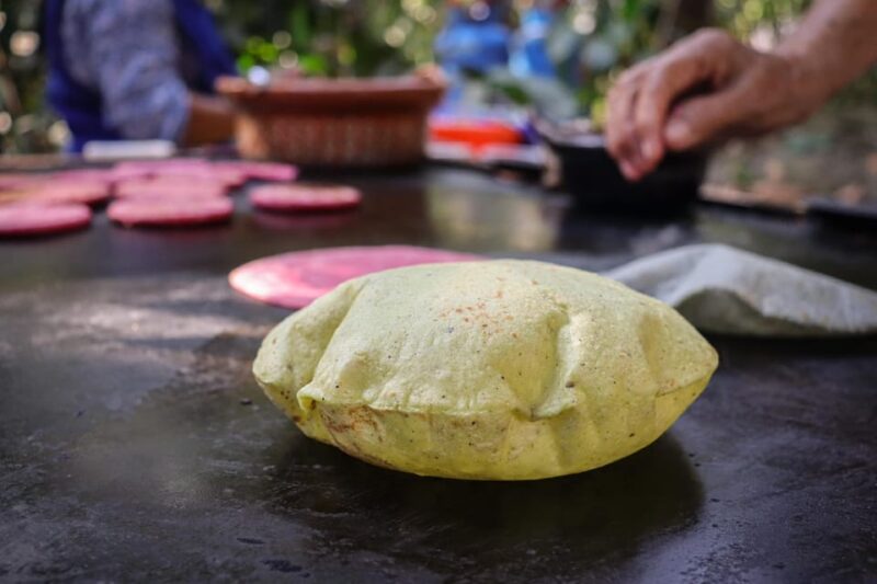 El Nogalito, Puerto Vallarta, Hiking Experience With Locals - What to Wear and Bring