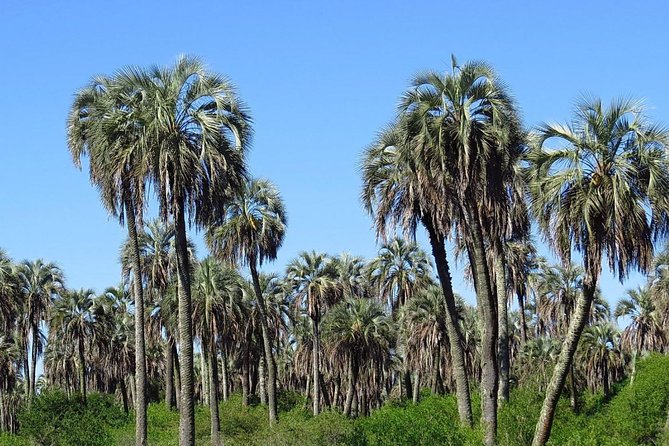 El Palmar National Park Admission Ticket - Key Points