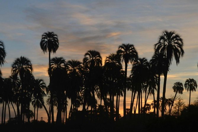 El Palmar National Park Admission Ticket - Park Opening Hours and Accessibility
