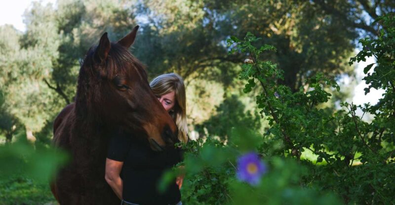 El Palmar: Reconnect Through Coaching With Horses - Overcoming Personal Challenges