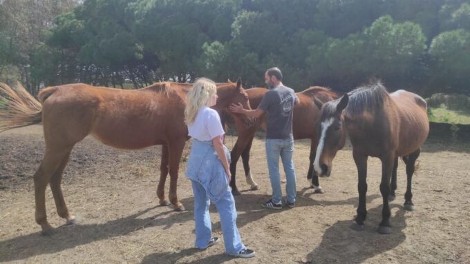 El Palmar: Reconnect Through Coaching With Horses - Sensitivity and Self-Awareness Development