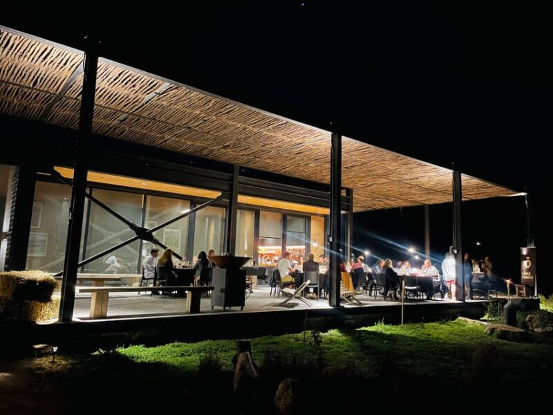 El Pangue Wine Tour - Experience Highlights